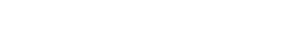 Main Logo WHITE